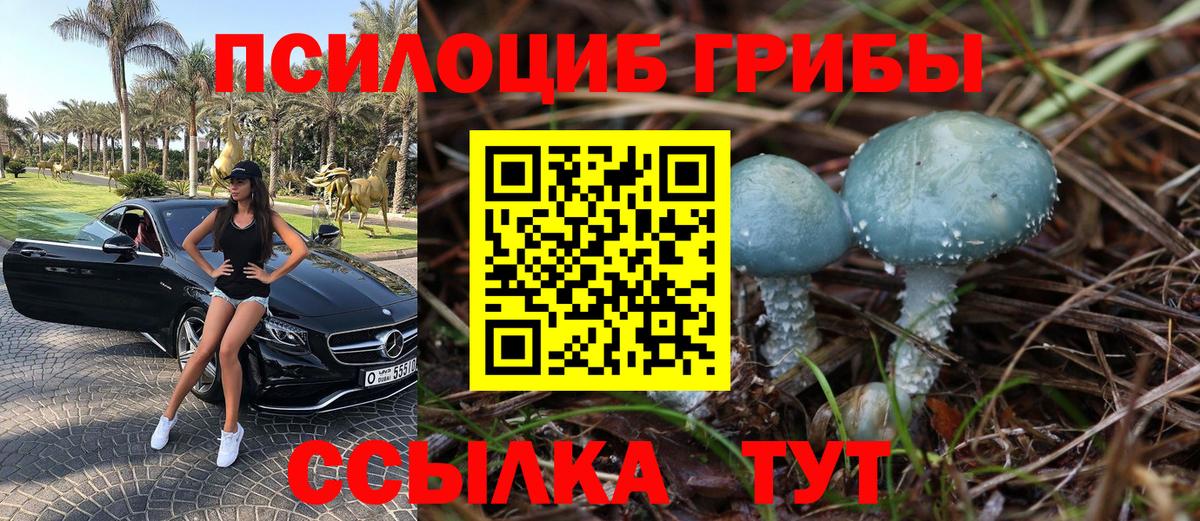 Галлюциногенные грибы ЛСД Новокубанск