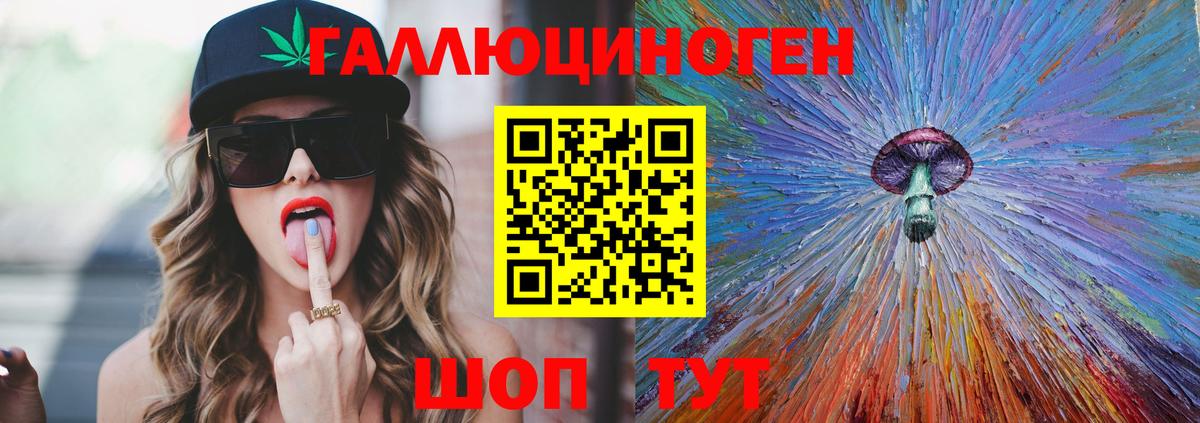 где купить   Псилоцибиновые грибы мухоморы  Новокубанск  Вход с VPN  Псилоцибиновые грибы прущие грибы 